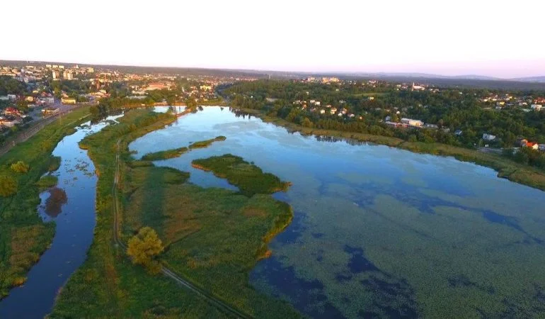 Bioremediacja Zalewu Pasternik